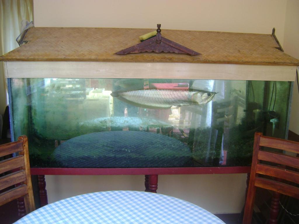 Bastian Homestay Kochi Luaran gambar